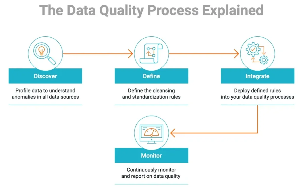 Executing the Data Quality Audit