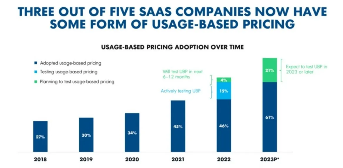 Hybrid Pricing Models: Bridging Usage and Value